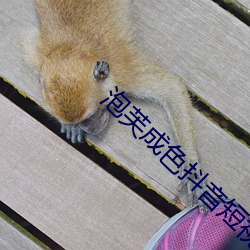 泡芙(fú)成色抖音短视频