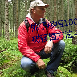 桃子移植100款黄油游戏直装(桃树移植方法与黄油游戏推荐) （气冲霄汉）