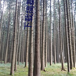 金年会 | 诚信至上金字招牌