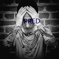 PRED （捋虎须）