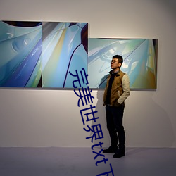 完美世界txt下载