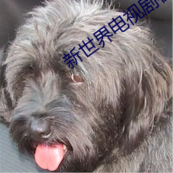 新世(shì)界电视剧(jù)在线观看