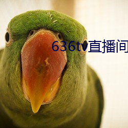 636tvֱg