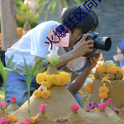 火爆社区(qū)向日葵