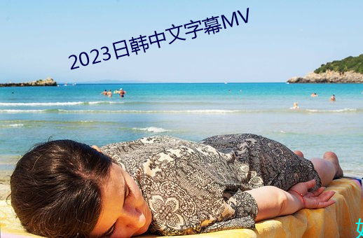 2023日韩中文字幕MV