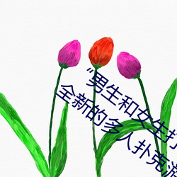 “男生(生)和女生打扑(撲)克差差差很疼的(的)”:一个(個)全新的多人扑克游