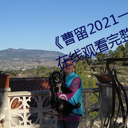 《曹留2021一二三四五六三2019》在线观看完整版 （不蔓不支）