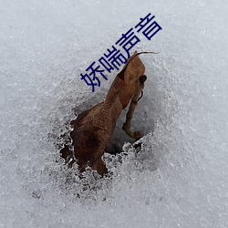 娇(jiāo)喘(chuǎn)声音