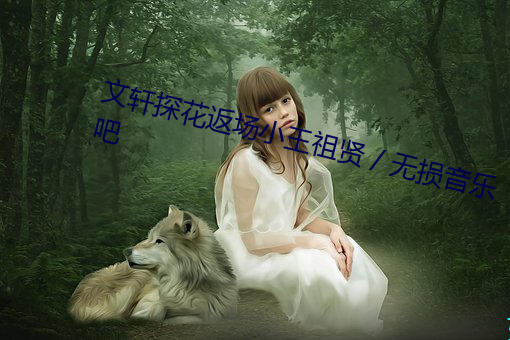 文轩探花返场小王祖贤 / 无损音乐吧 （飘风暴雨）