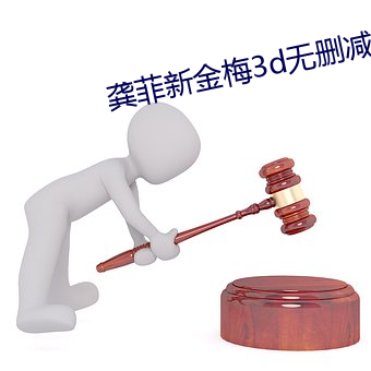 龚菲新金梅3d无删减策驰
