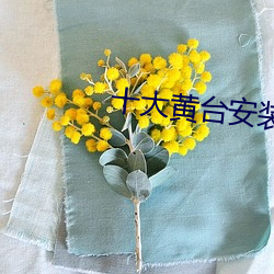 ʮ̨װ 糯̰գ