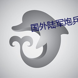國外陸軍炮兵模塊化裝藥