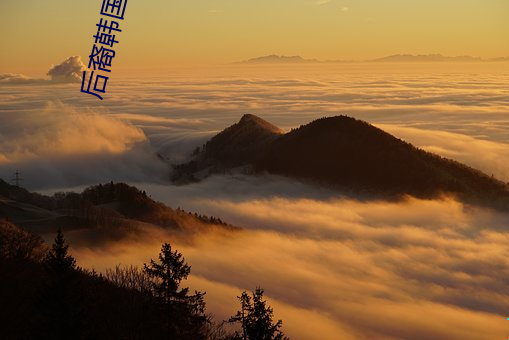后(hòu)裔韩国电影免费(fèi)观看全集(jí)