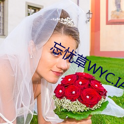 忘憂草WYC.IA