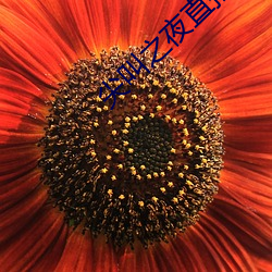 尖叫(叫)之夜直播回(回)放