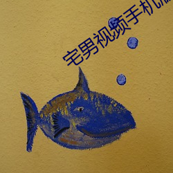 宅(zhái)男视(shì)频(pín)手机版下(xià)载