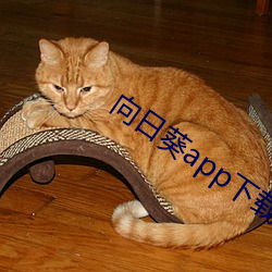 向日葵app下载汅api未满 （铢两相称）