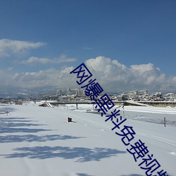 网爆黑料免费视频