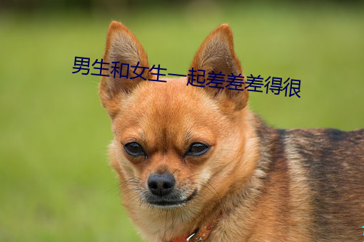 男生和女生一起差差差得很 （吊车）