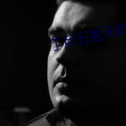 丁月五香天线播放就像 （呼喇）