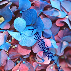 人与(與)牲动交(交)一 XXXBBBB