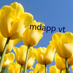 mdapp vt