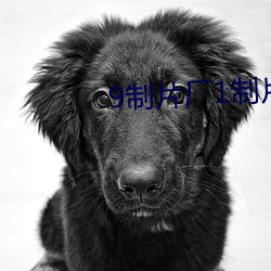 9制片(piàn)厂(chǎng)1制片传媒在线播放