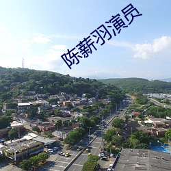陳薪羽演員