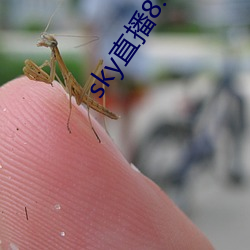 sky直(直)播8.0版本