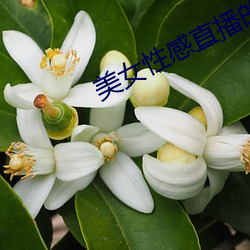 尊龙凯时-人生就是搏!