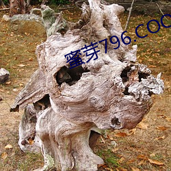 蜜芽796.COO永不失聯
