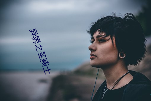 异界之(之)圣骑(騎)士