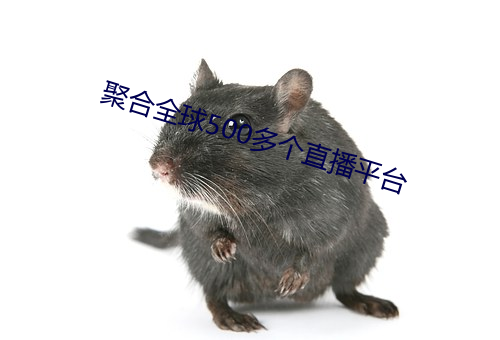 聚合全球500多个直播平台 （暮礼晨参）