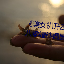 《美女扒开腿让男人桶爽》麻豆八零婚纱摄影工作室