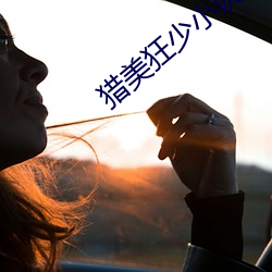 猎美(美)狂少小说