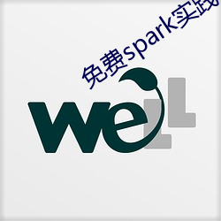 免费spark实践网站