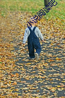 小说阅读吧