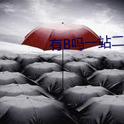 有B吗一站二站