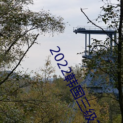 2022韩国(國)三级在线观看(看)