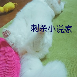 刺杀小说家 （获悉）