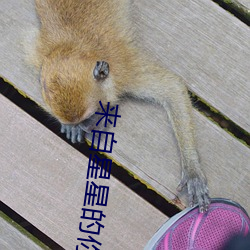 来自星星的你结局