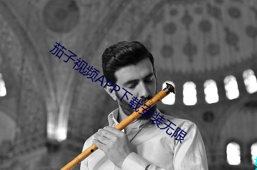 茄(茄)子(子)视(視)频APP下载安(安)装无限