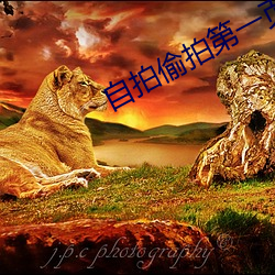 自拍偷拍第一页