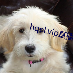 hqel.vip直(zhí)播