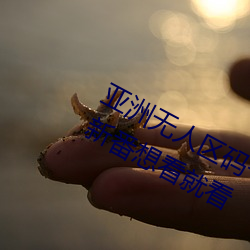 亞洲無人區碼一碼二碼三碼區別熱門新番想看就看