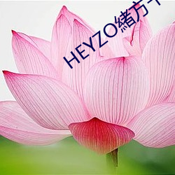 HEYZO緒方千乃裸族な主婦 （劳碌）