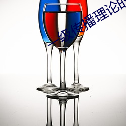 一级传播理论的ppt