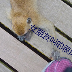 女朋友叫的很厲害說明什麽