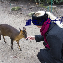 重生之公子傾城