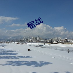 蜜战 （直言贾祸）